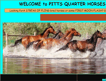 Tablet Screenshot of pittsquarterhorses.com